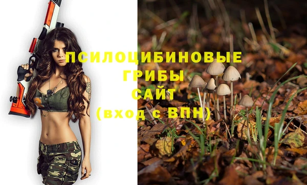 mix Армянск