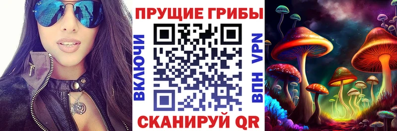 Галлюциногенные грибы GOLDEN TEACHER  Сорск 